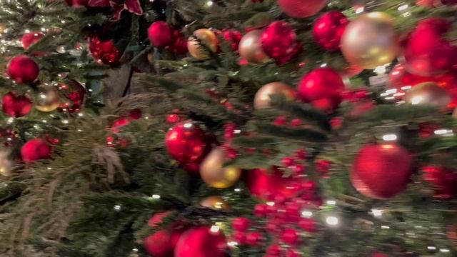 Троянская Москва 14.12.25 смотреть онлайн