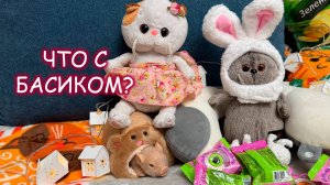 🐱 Басик объелся конфет! Что было дальше? 😱 Приключения Басика и Лили