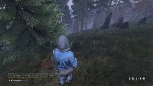 Day Z первый день выживания.