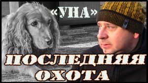 Спаниель УНА - последняя охота