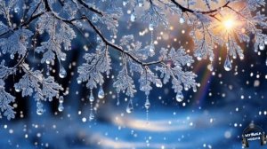 Мелодия холода 🎵 Песня