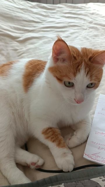 Кузя смотреть онлайн