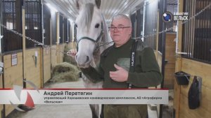 ВГТК «Вельск 24». Программа «В объективе Вельск». Эфир от 12.12.2025