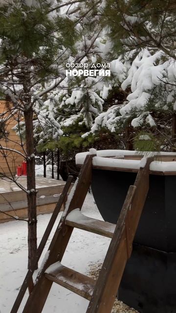Обзор дома «Норвегия