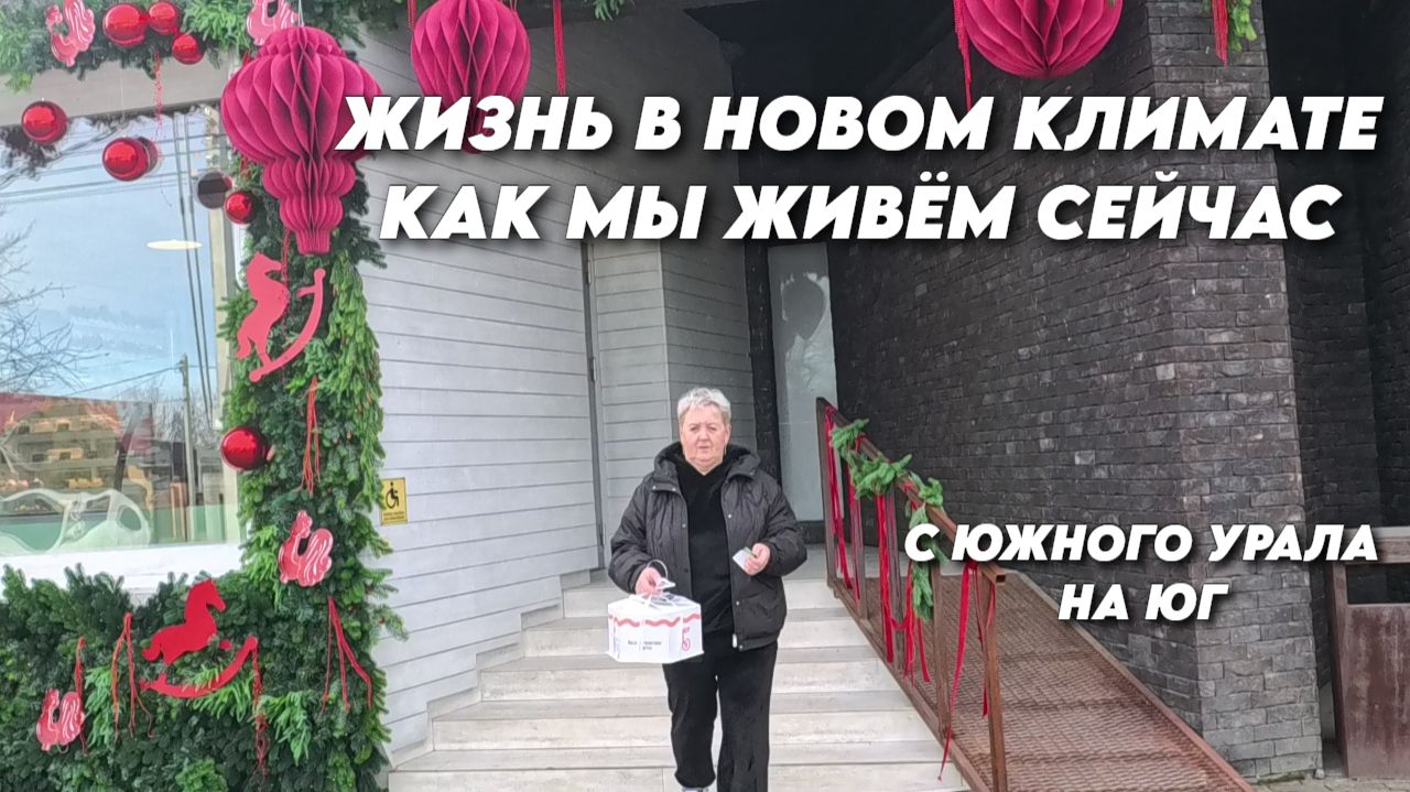 1045 Укрываем инжир/Поездка и обзор Белореченска/Жизнь семьи после переезда на юг России смотреть онлайн