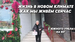 1045 Укрываем инжир/Поездка и обзор Белореченска/Жизнь семьи после переезда на юг России