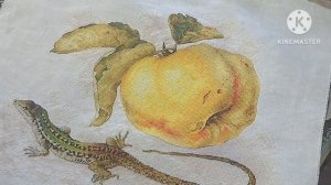 Вышивальная встреча в Брянске...