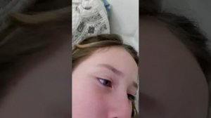 трансляция