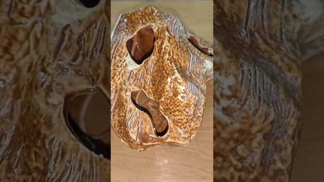 Подарочки от Маргариты для моих девчонок маисовых полозов! Огромное спасибо! смотреть онлайн