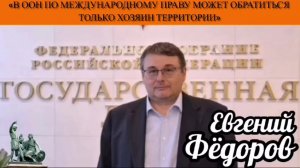 Евгений Фёдоров: «В ООН по международному праву может обратиться только хозяин территории»