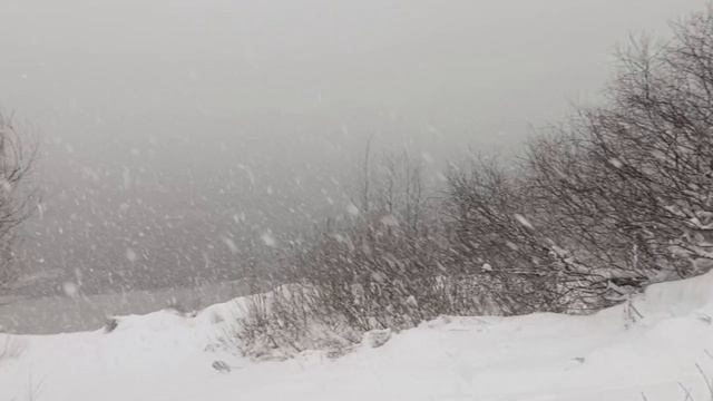 Ока заметеленная 14.12.2025 смотреть онлайн