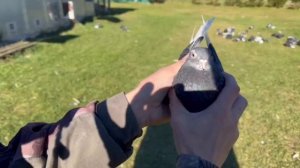 Питомник "Западный" курские +7 909 667-53-00 Виктор