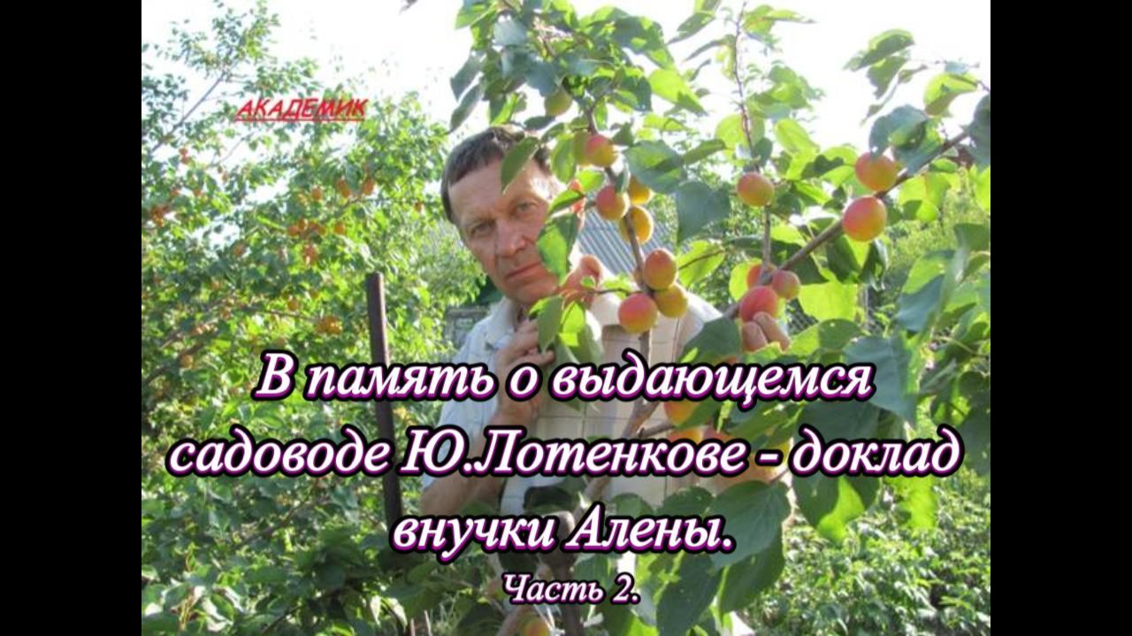 В память о выдающемся садоводе Ю.Лотенкове - доклад внучки Алены. Часть 2. смотреть онлайн