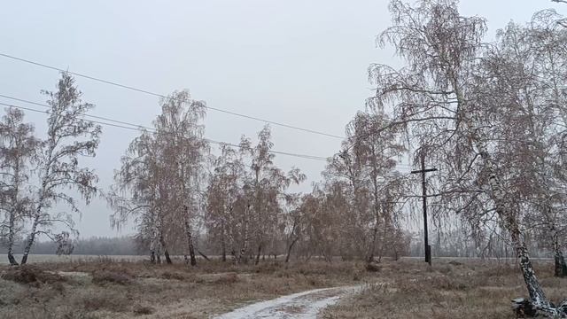Ледяная красота❄️❄️ смотреть онлайн