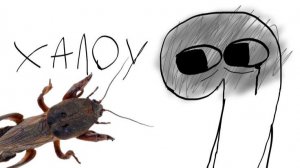 отвечаю на вопросы по моему шоу