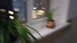 Пассажирский лифт V=1 м-с, Q=400 кг (5246), музыкальный лифт КМЗ