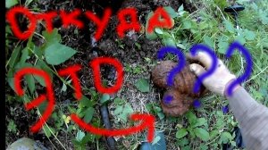 МЕТАЛЛОКОП!!! ДОБИВАЮ ЧУГУННУЮ ЖИЛУ!!! НАХОДКИ УДИВЛЯЮТ и РАДУЮТ!!!