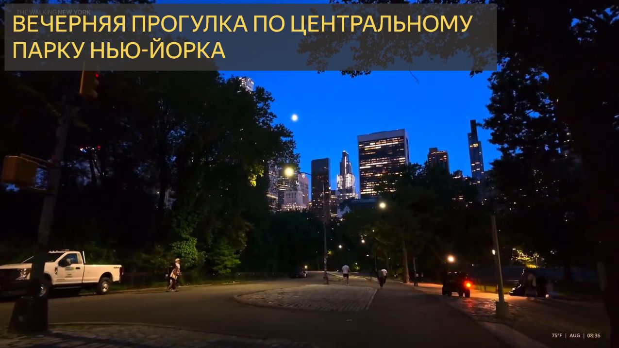 Вечерняя прогулка по центральному парку Нью-Йорка смотреть онлайн