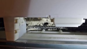 Инструкция. Обслуживание холодильника Liebherr