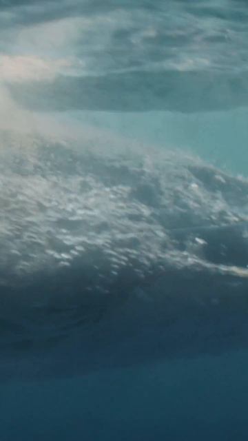 Моана смотреть онлайн