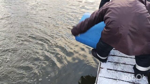 14.12.25. Зарыбление VIP зоны форелью. смотреть онлайн