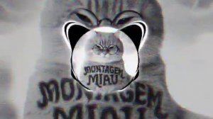 Montagem miau - (slowed)