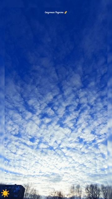 #снежнаязима #феральские #зарисовки #зимний #саратов #красиво #небо #деревья #событиедня #22февраля2 смотреть онлайн