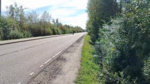 sk8 в движении.