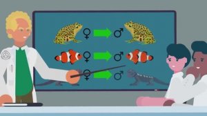 SCP-113 - Переключатель Пола (Объяснение SCP)