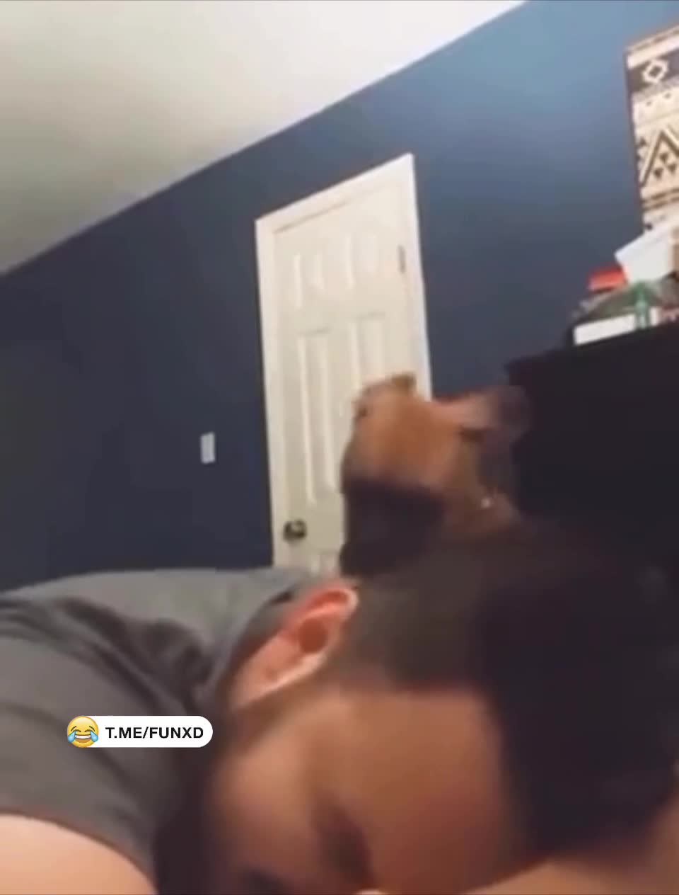 Подъём!😆 смотреть онлайн