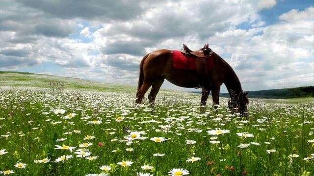 КРАСНЫЙ КОНЬ💥(В.Дьяконов)💥💥💥 смотреть онлайн