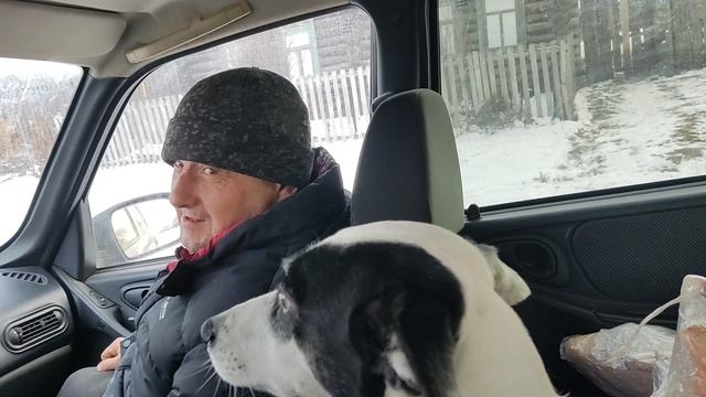 Едем торговать .Барбоскин смотреть онлайн