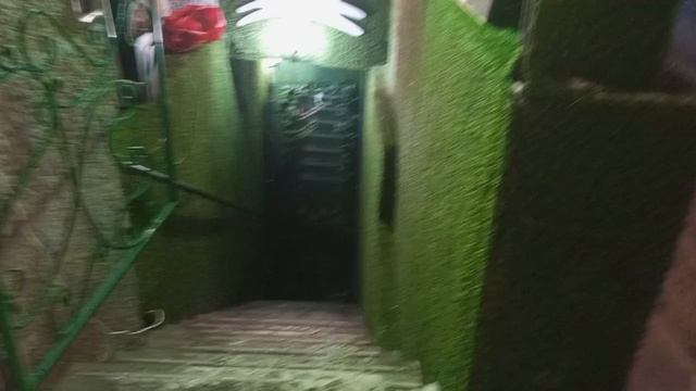 Музей белого кролика смотреть онлайн