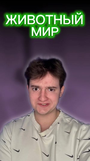 Зверополис 2