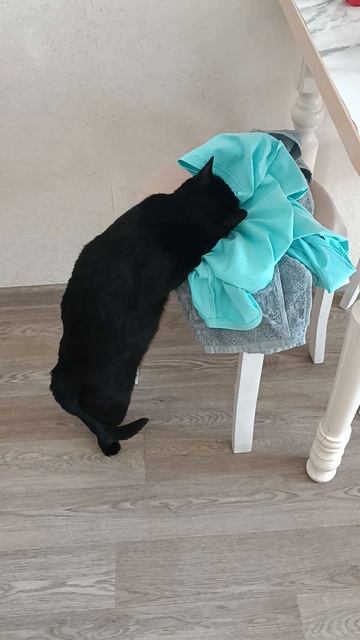 Девочка смотреть онлайн