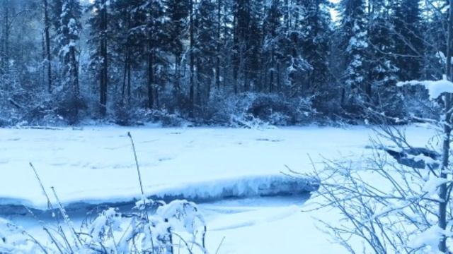 Новогодняя ночь смотреть онлайн