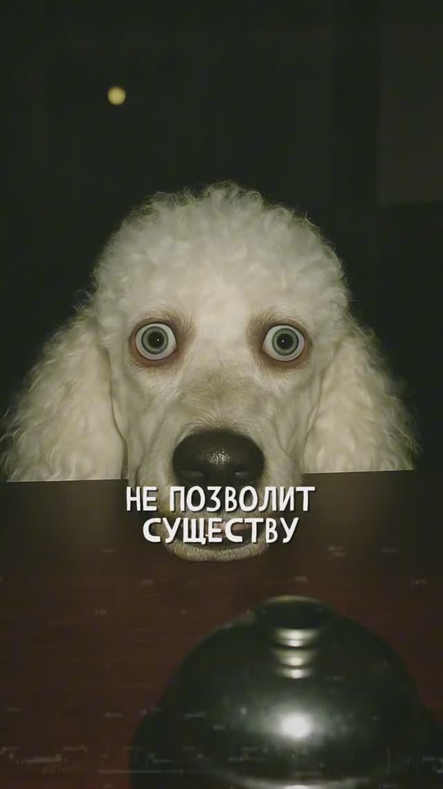 ОТЕЛЬ "КАПИТАЛ". ОБЪЕКТ 324. "Записи об аномалиях от К.О.Н.Т.У.Р." №76, ЗАПИСЬ 048. смотреть онлайн