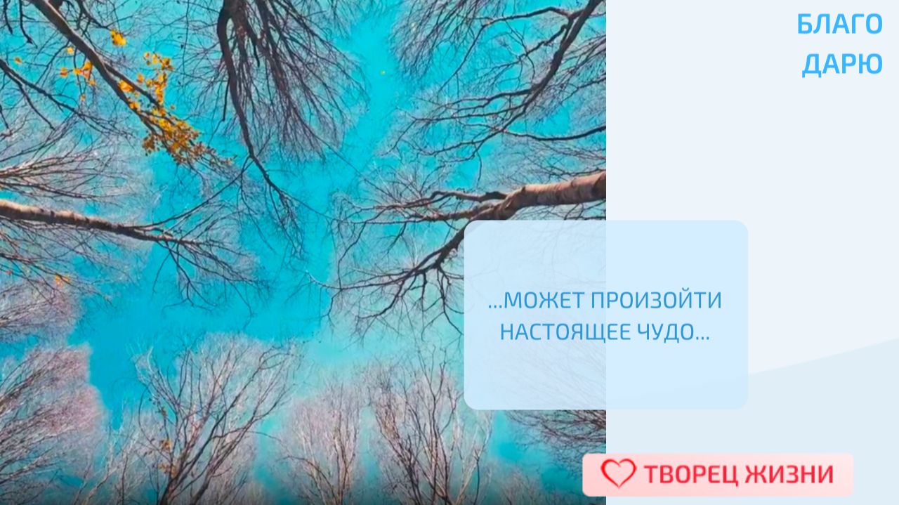 Благодарю Создателя за чудеса и неожиданные повороты судьбы!