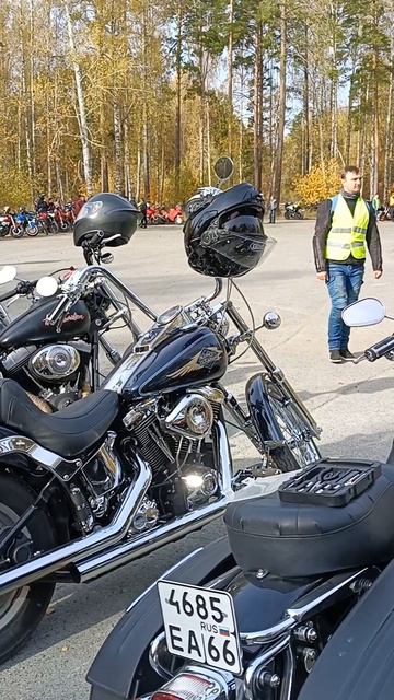 Харлей на закрытии мотосезона 2024 Заречный Развлекательная программа Конкурсы мотоциклистов. смотреть онлайн