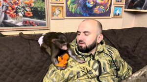 Анфиса ДОСТАЛА Басика, меня ПОКУСАЛА и вообще выгнала с дивана и только Денис САМЫЙ ЛЮБИМЫЙ!))