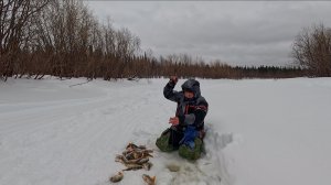 СТРАНА ОКУНЕЙ И Я В НЕЙ, ПОПАЛ НА СТОЛ РАЗДАЧИ.