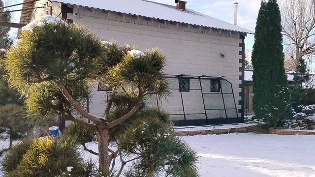 А нам выдали снега на даче 14.12.2025 смотреть онлайн