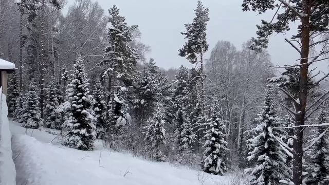 Зимние пейзажи на Алтае смотреть онлайн