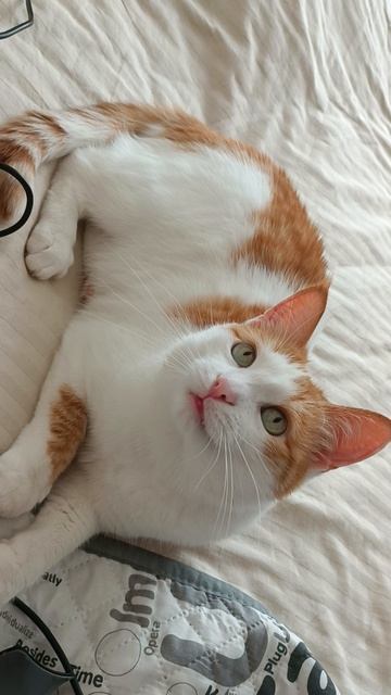 Кузя смотреть онлайн