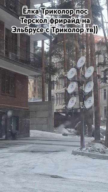 Ёлка Триколор тв в пос Терсколол Эльбрус 17.02.2025 обучение катанию на горных лыжах, 89283344433 смотреть онлайн