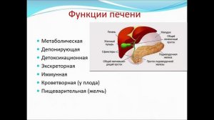 Физиология ребенка. Л5. ЖКТ. Моисеева Н.М.