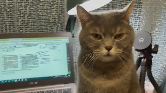 Влог с 8 по 14 декабря. Держим ритм, готовимся к Новому году 🎄🎄🎄 И про итоги) 📖📖📖 чуть-чуть 😉 смотреть онлайн