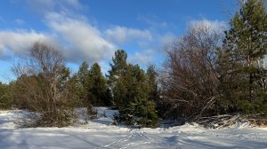 Продаю участок в Преображеновке  0,15  га Липецкая область