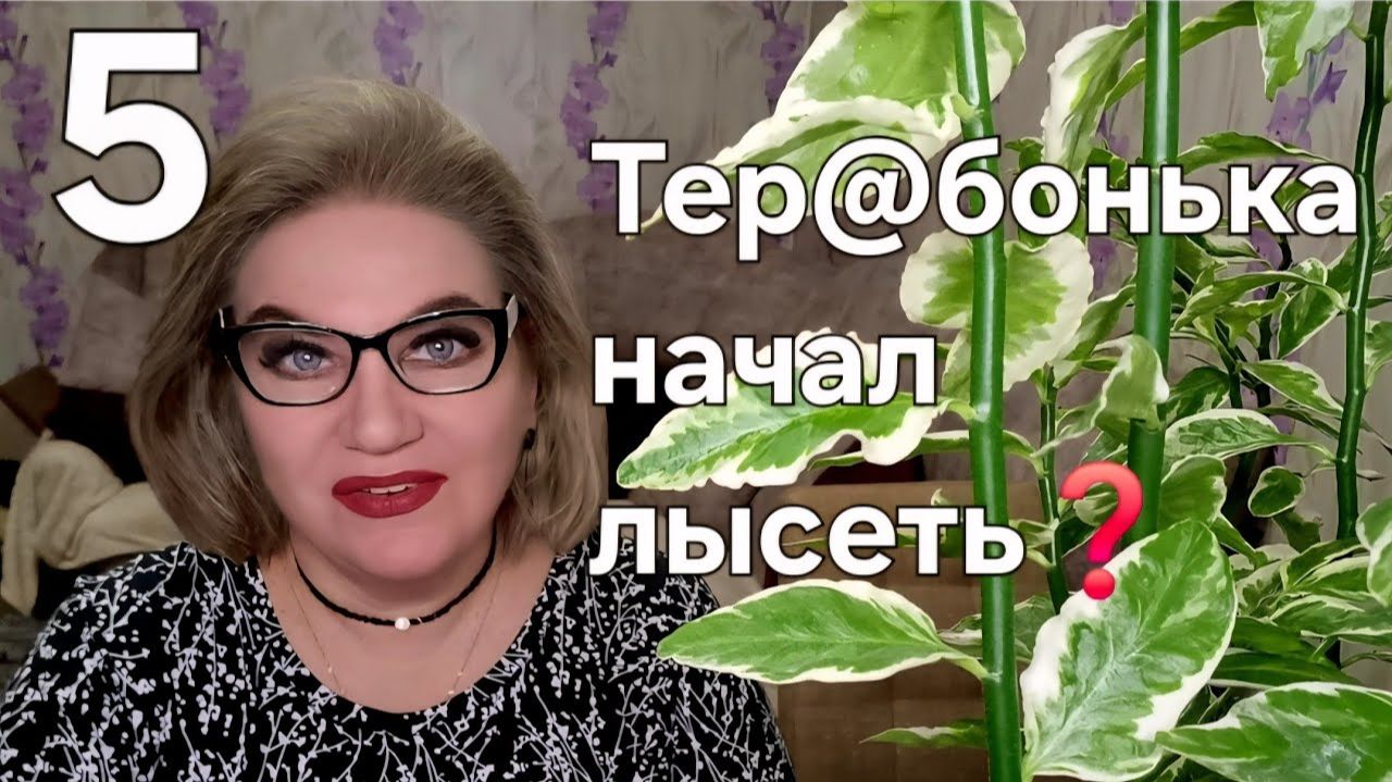 Тер@бонька начал ЛЫСЕТЬ❓️ смотреть онлайн