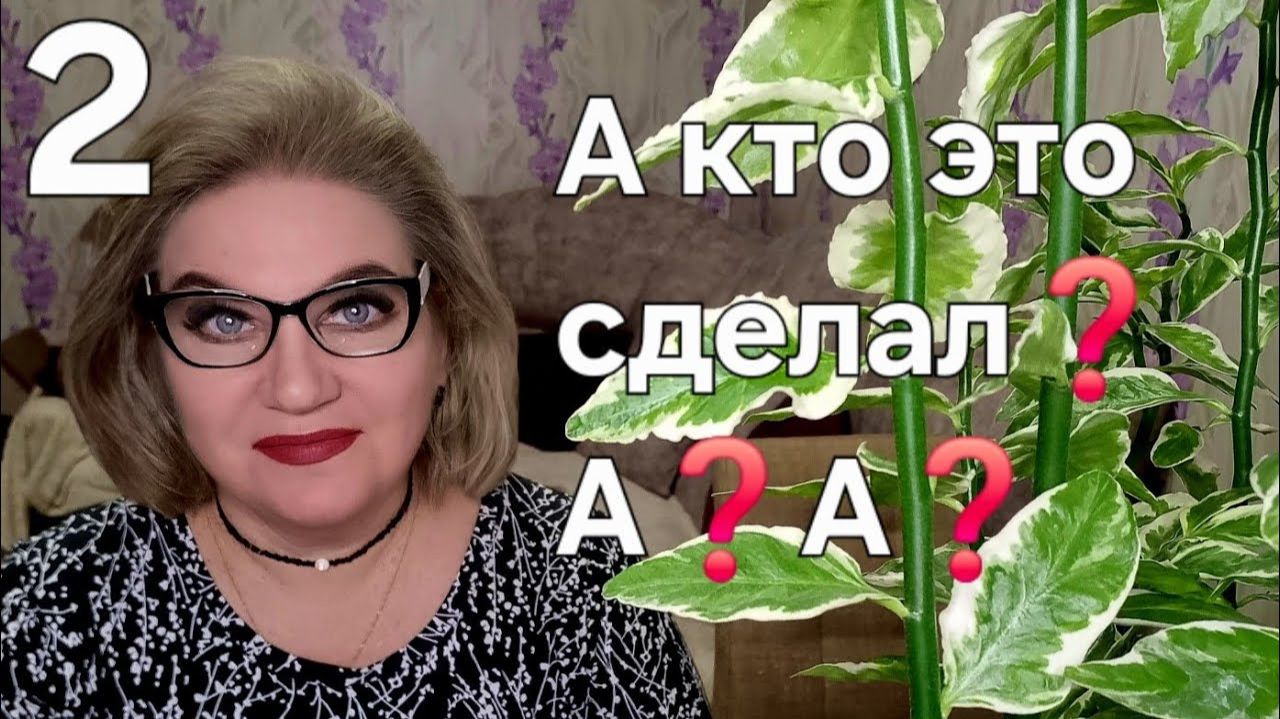 А кто это сделал❓️А❓️А❓️ смотреть онлайн